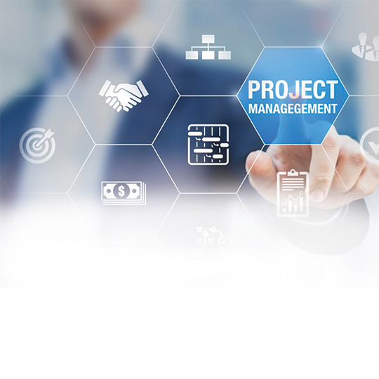 Project Management Professional (PMP)